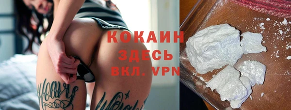 кокс Алексин