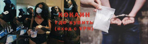 кокс Алексин