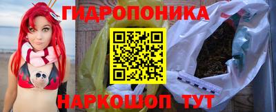 ешки Гусь-Хрустальный