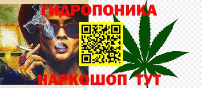 ешки Гусь-Хрустальный
