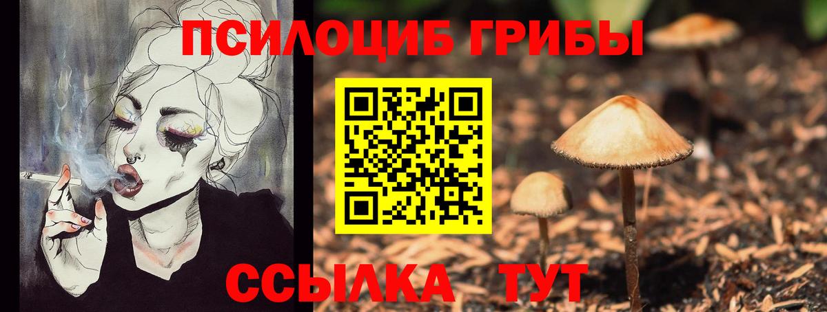 Псилоцибиновые грибы мицелий  Вход с VPN  Магадан 