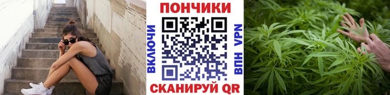 Шишки марихуана Bruce Banner Магадан